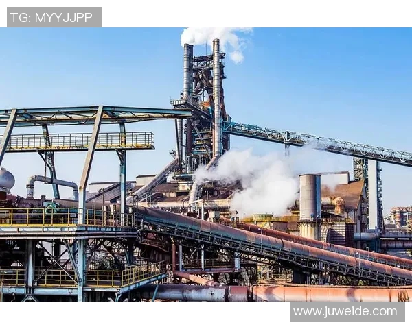 深圳排球队转型之路的挑战与机遇全景观察